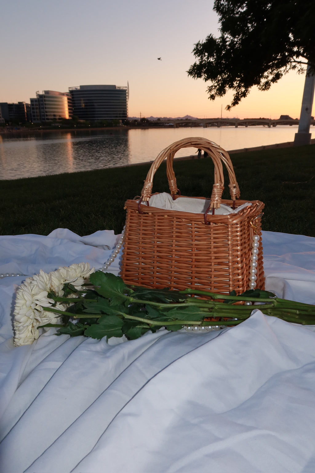 Picnic date mini basket