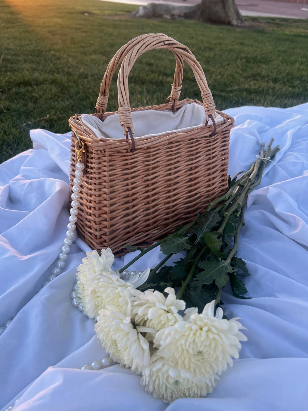 Picnic date mini basket