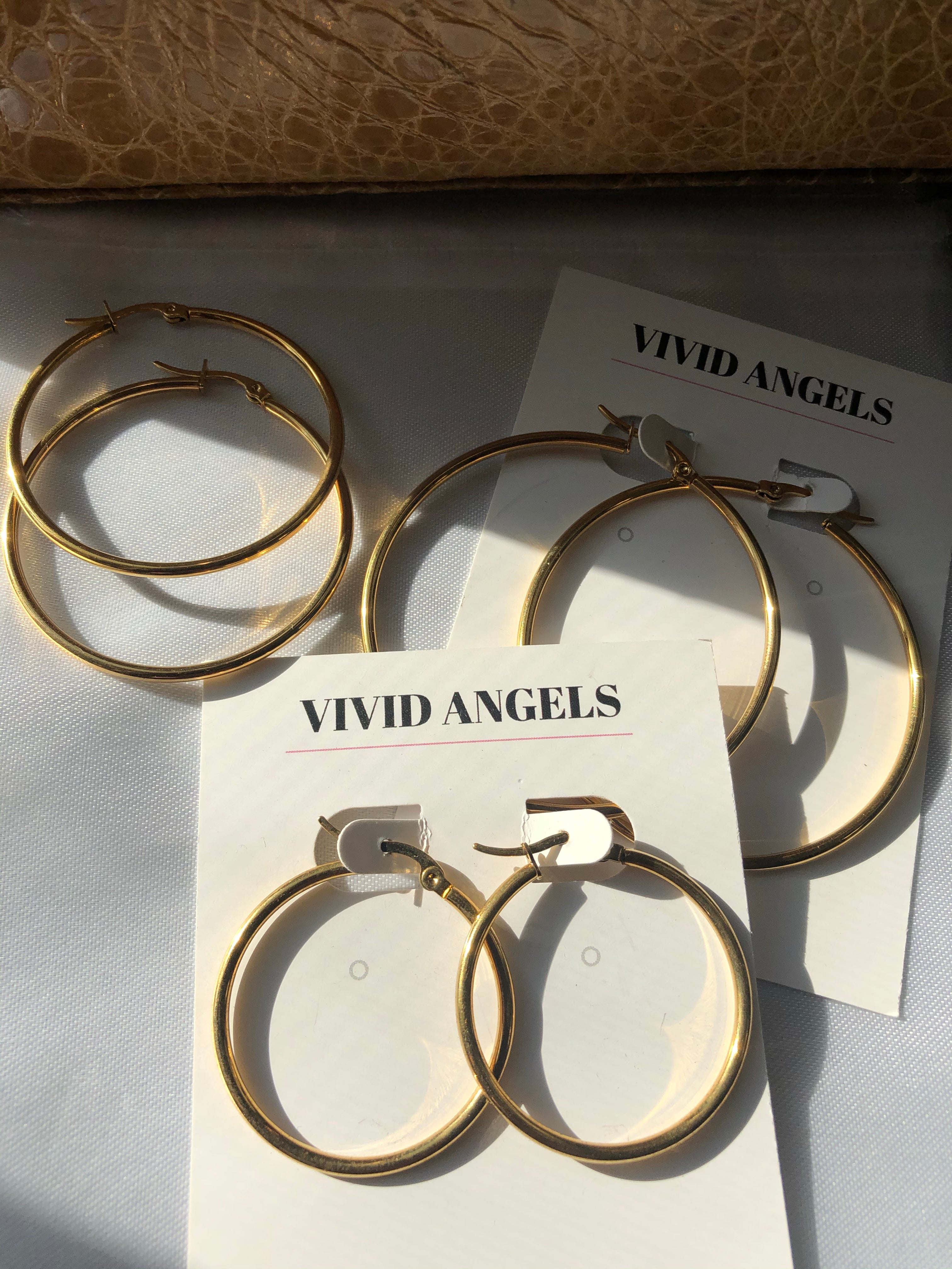 Favorite Pair Hoop Earrings